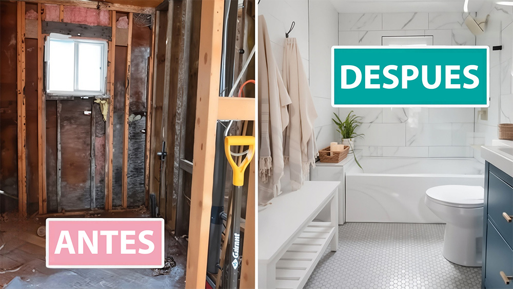 5faee4f4-784e-4cfa-cbb7-a1940d61d800